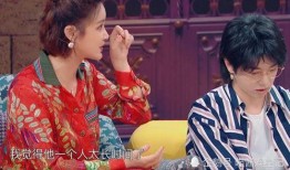 张歆艺华晨宇最新爆料,揭秘娱乐圈背后的故事