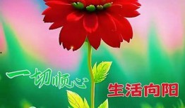 早安最新爆料图片大全,最新图片大全揭秘瞬间