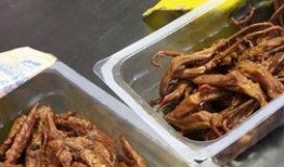 鸭肠厂家爆料视频播放,厂家爆料视频带你一探究竟